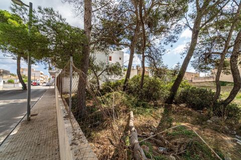 Helårsgrund i Manacor, Mallorca, Manacor - € 159.000 | Ref: 05JRP178SC/3010 - foto 11
