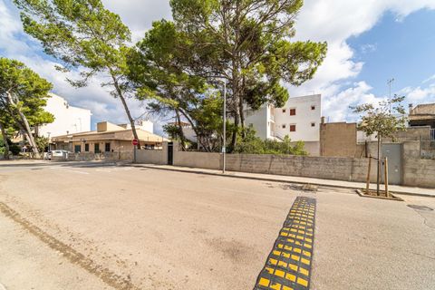 Helårsgrund i Manacor, Mallorca, Manacor - € 159.000 | Ref: 05JRP178SC/3010 - foto 12