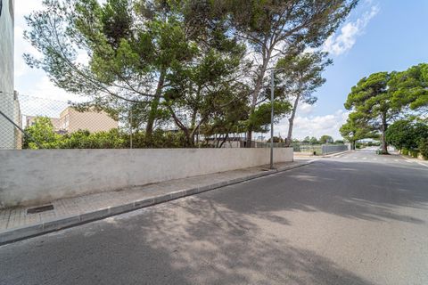 Helårsgrund i Manacor, Mallorca, Manacor - € 159.000 | Ref: 05JRP178SC/3010 - foto 14