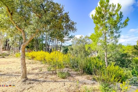Helårsgrund i Lloret De Mar, Gerona, Lloret De Mar - € 59.000 | Ref: PAR0154 - foto 25