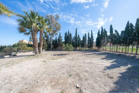 Villa i Dolores, Alicante, Dolores - € 560.000 | Ref: 40963881-fdbb-4de5-9 - foto 42