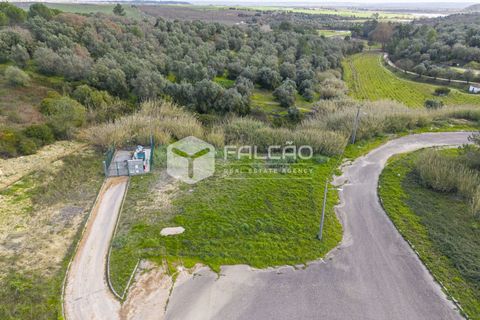 Helårsgrund i Santarem, Santarem, Santarem - € 367.500 | Ref: FR1073 - foto 6