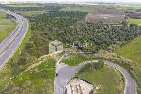 Helårsgrund i Santarem, Santarem, Santarem - € 367.500 | Ref: FR1073 - foto 15