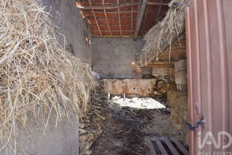 Byhus i Penela, Coimbra, Penela - € 19.000 | Ref: 827103 - foto 8