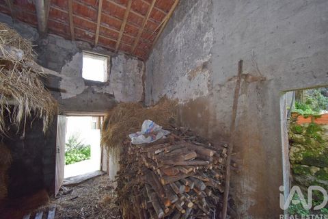 Byhus i Penela, Coimbra, Penela - € 19.000 | Ref: 827103 - foto 12