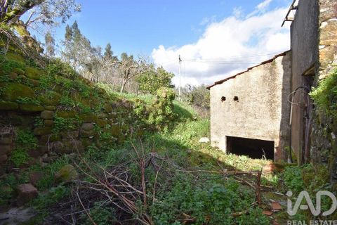 Byhus i Penela, Coimbra, Penela - € 19.000 | Ref: 827103 - foto 15