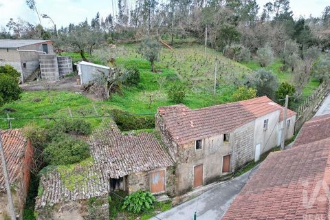 Byhus i Penela, Coimbra, Penela - € 19.000 | Ref: 827103 - foto 17