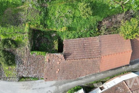 Byhus i Penela, Coimbra, Penela - € 19.000 | Ref: 827103 - foto 21