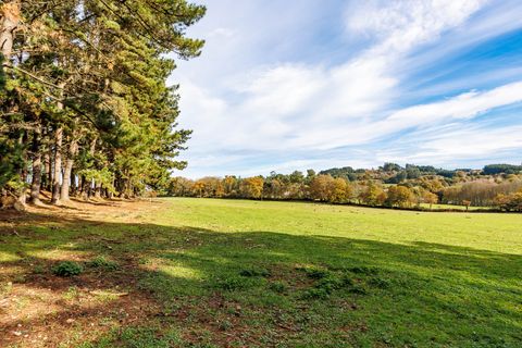 Cortijo i Cospeito, Lugo, Cospeito - € 3 500 000 | Ref: 1610 - foto 35
