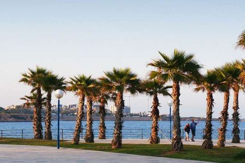 Duplex i Orihuela, Alicante, Orihuela - € 265.000 | Ref: B-3470 - foto 33