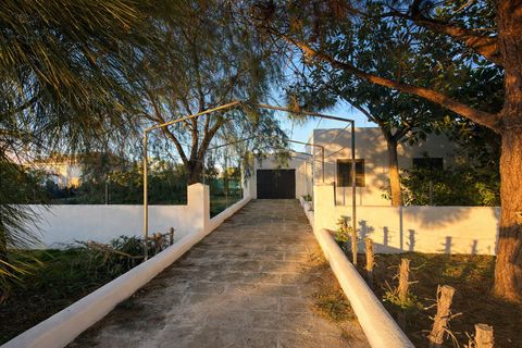 Bungalou a Sa Coma, Mallorca, Sa Coma - € 675.000 | Ref: FALC-AdFl-81452 - foto 19
