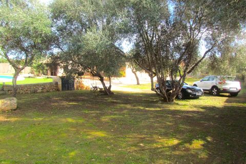 Masia a Santa Eugenia, Mallorca, Santa Eugenia - € 3.500/mes | Ref: 11420001_GC/11003 - foto 8