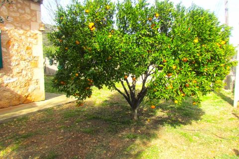 Masia a Santa Eugenia, Mallorca, Santa Eugenia - € 3.500/mes | Ref: 11420001_GC/11003 - foto 37
