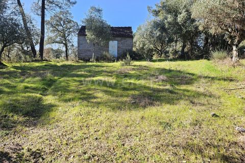 Helårsgrund i Fundao, Castelo Branco, Fundao - € 17.500 | Ref: 255260035 - foto 2