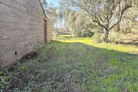 Helårsgrund i Fundao, Castelo Branco, Fundao - € 17.500 | Ref: 255260035 - foto 3