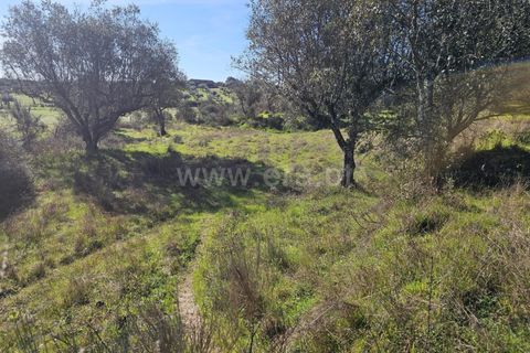 Helårsgrund i Fundao, Castelo Branco, Fundao - € 17.500 | Ref: 255260035 - foto 5