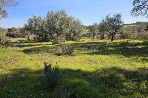 Helårsgrund i Fundao, Castelo Branco, Fundao - € 17.500 | Ref: 255260035 - foto 6