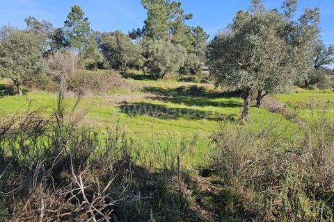 Helårsgrund i Fundao, Castelo Branco, Fundao - € 17.500 | Ref: 255260035 - foto 7