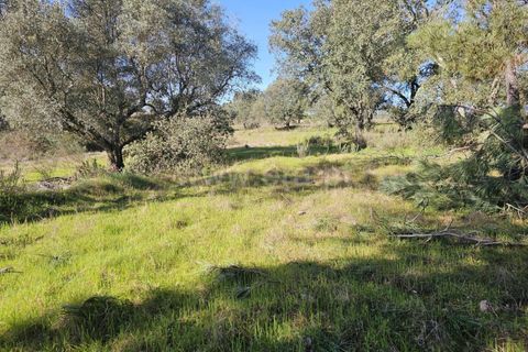 Helårsgrund i Fundao, Castelo Branco, Fundao - € 17.500 | Ref: 255260035 - foto 8