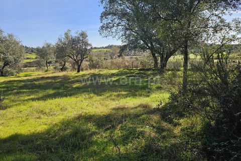 Helårsgrund i Fundao, Castelo Branco, Fundao - € 17.500 | Ref: 255260035 - foto 9