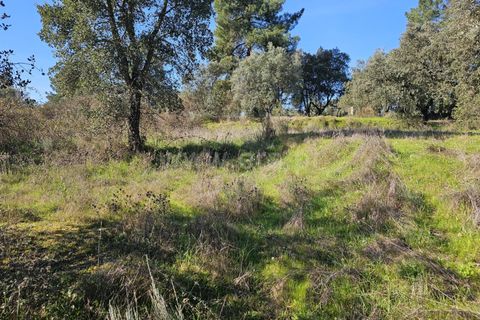 Helårsgrund i Fundao, Castelo Branco, Fundao - € 17.500 | Ref: 255260035 - foto 10