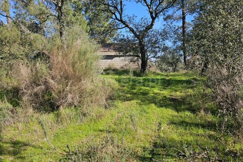 Helårsgrund i Fundao, Castelo Branco, Fundao - € 17.500 | Ref: 255260035 - foto 12