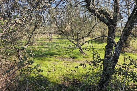 Helårsgrund i Fundao, Castelo Branco, Fundao - € 17.500 | Ref: 255260035 - foto 13