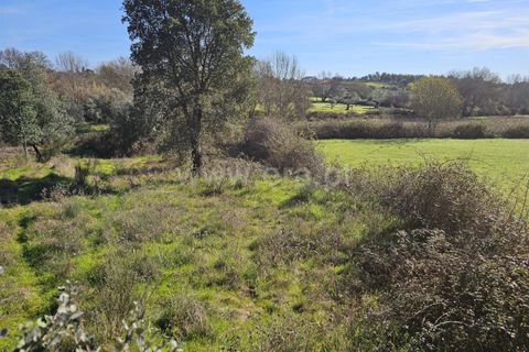 Helårsgrund i Fundao, Castelo Branco, Fundao - € 17.500 | Ref: 255260035 - foto 14