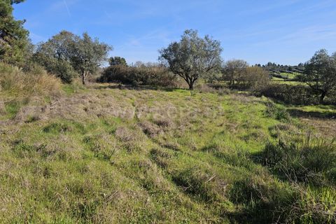 Helårsgrund i Fundao, Castelo Branco, Fundao - € 17.500 | Ref: 255260035 - foto 15