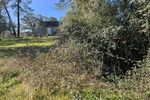 Helårsgrund i Fundao, Castelo Branco, Fundao - € 17.500 | Ref: 255260035 - foto 16
