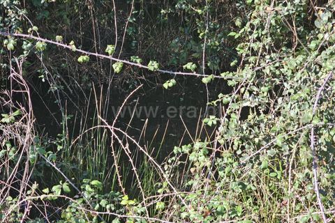 Helårsgrund i Fundao, Castelo Branco, Fundao - € 17.500 | Ref: 255260035 - foto 17