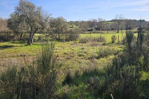 Helårsgrund i Fundao, Castelo Branco, Fundao - € 17.500 | Ref: 255260035 - foto 18