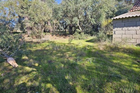 Helårsgrund i Fundao, Castelo Branco, Fundao - € 17.500 | Ref: 255260035 - foto 19