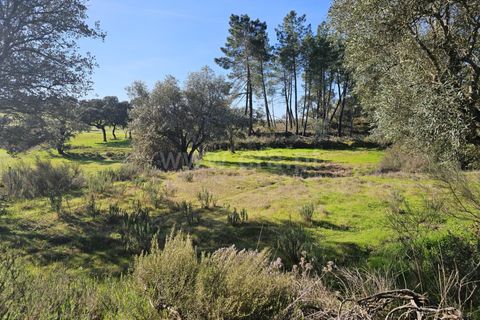 Helårsgrund i Fundao, Castelo Branco, Fundao - € 17.500 | Ref: 255260035 - foto 20