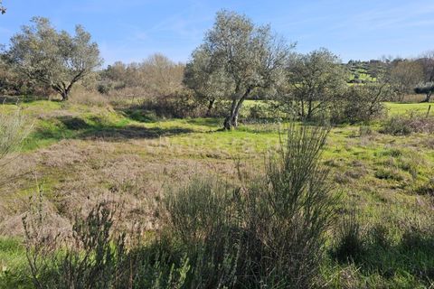 Helårsgrund i Fundao, Castelo Branco, Fundao - € 17.500 | Ref: 255260035 - foto 21