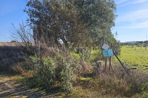 Helårsgrund i Fundao, Castelo Branco, Fundao - € 17.500 | Ref: 255260035 - foto 22