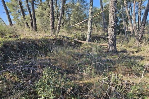 Helårsgrund i Fundao, Castelo Branco, Fundao - € 17.500 | Ref: 255260035 - foto 23