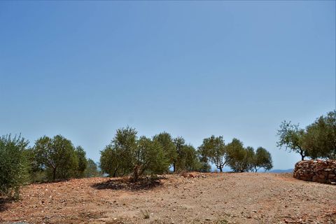 Villa a Bedar, Almeria, Bedar - € 340.000 | Ref: OLV1914 - foto 13