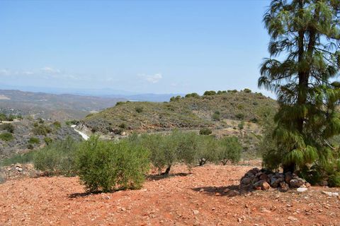 Villa a Bedar, Almeria, Bedar - € 340.000 | Ref: OLV1914 - foto 14