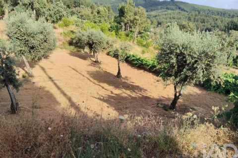 Byhus i Serta, Castelo Branco, Serta - € 106.500 | Ref: 133104 - foto 2