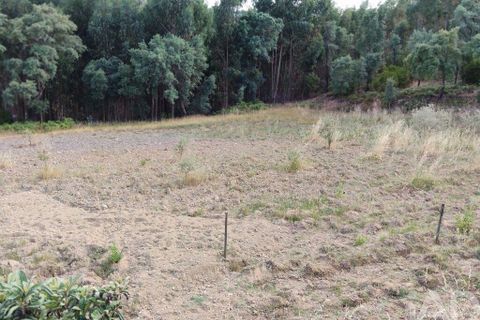 Byhus i Serta, Castelo Branco, Serta - € 106.500 | Ref: 133104 - foto 13
