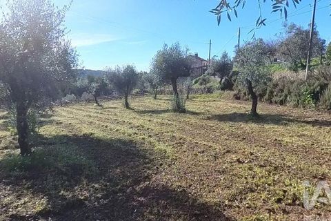 Byhus i Serta, Castelo Branco, Serta - € 106.500 | Ref: 133104 - foto 14