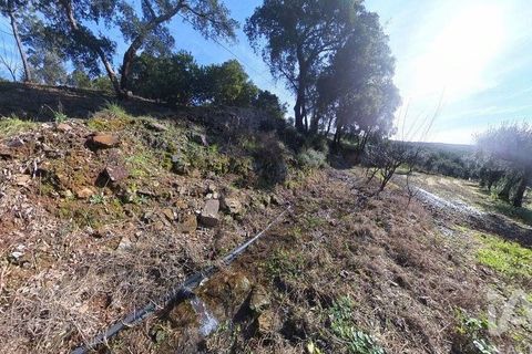 Byhus i Serta, Castelo Branco, Serta - € 106.500 | Ref: 133104 - foto 15