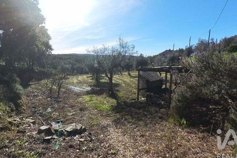 Byhus i Serta, Castelo Branco, Serta - € 106.500 | Ref: 133104 - foto 16