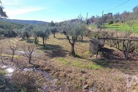 Byhus i Serta, Castelo Branco, Serta - € 106.500 | Ref: 133104 - foto 17