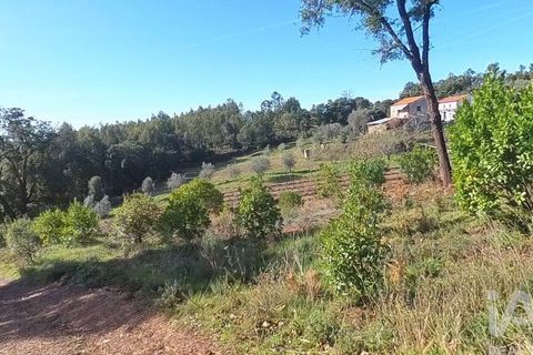 Byhus i Serta, Castelo Branco, Serta - € 106.500 | Ref: 133104 - foto 18