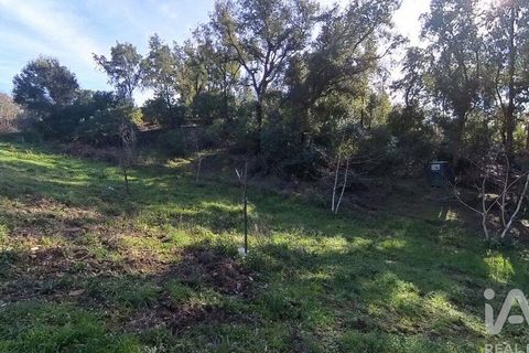 Byhus i Serta, Castelo Branco, Serta - € 106.500 | Ref: 133104 - foto 20