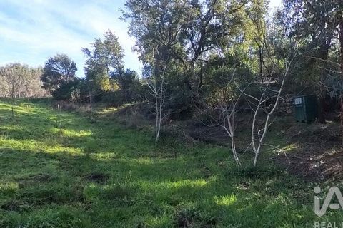 Byhus i Serta, Castelo Branco, Serta - € 106.500 | Ref: 133104 - foto 21