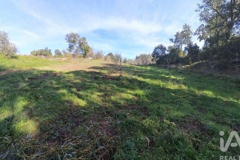 Byhus i Serta, Castelo Branco, Serta - € 106.500 | Ref: 133104 - foto 23