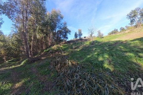 Byhus i Serta, Castelo Branco, Serta - € 106.500 | Ref: 133104 - foto 24